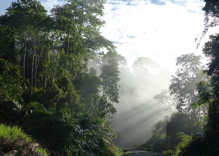 Deramakot Forest Reserve