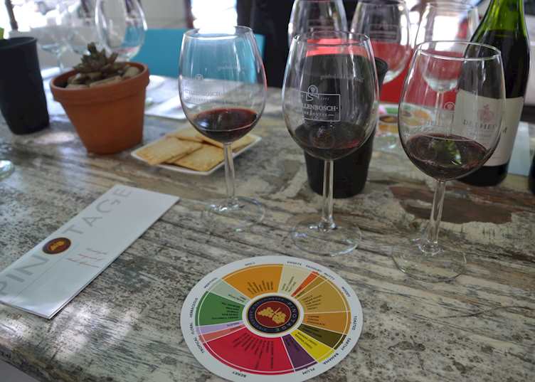 Wine tasting in Stellenbosch