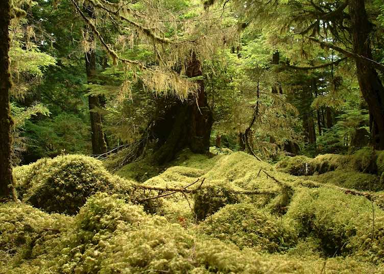 Gwaii Haanas National Park, Haida Gwaii