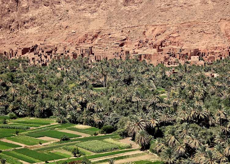 Dades Valley surrounded by a harsh desert environment