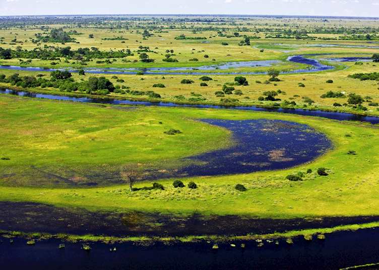Selinda concession from the air
