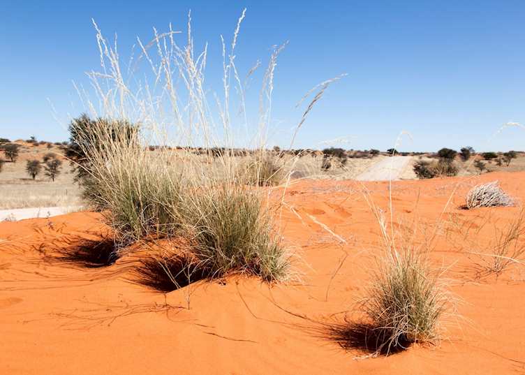 Tswalu Kalahari Reserve