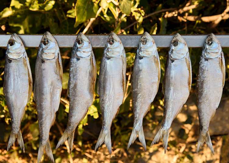 Missoltini lake fish, Lake Como