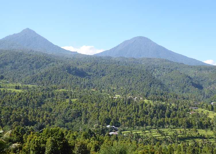 Scenery around Munduk