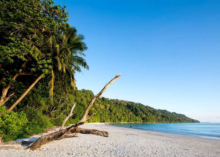 Havelock Island