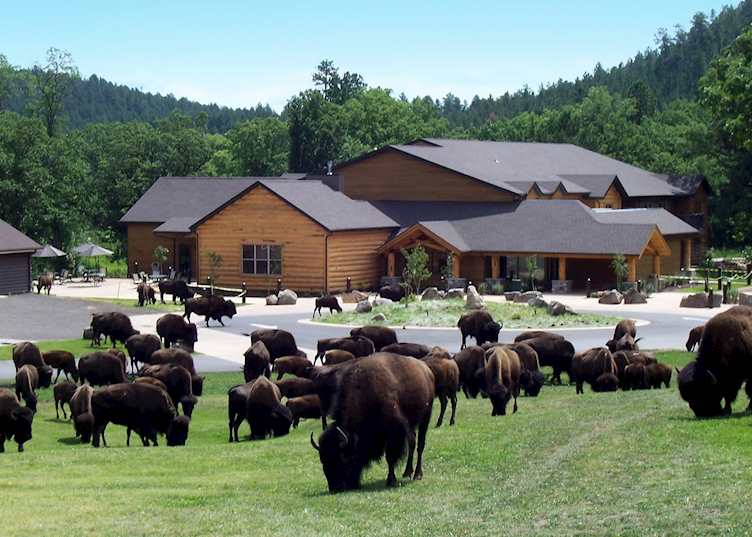 Creekside Lodge
