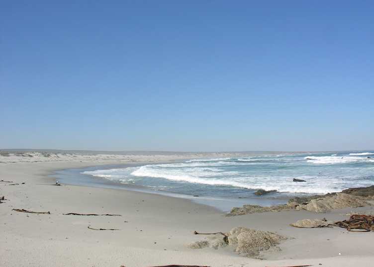 Shipwreck Coast