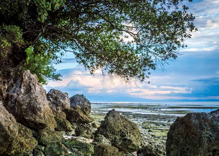 Cebu coastline