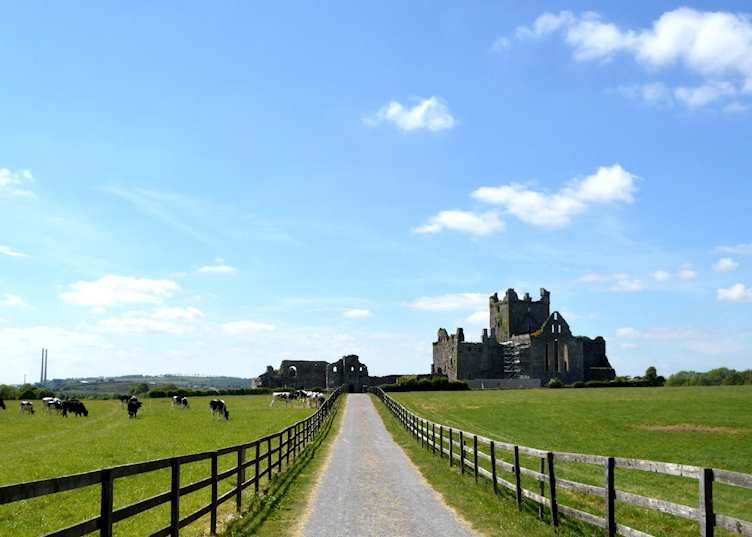 Dunbrody Abbey