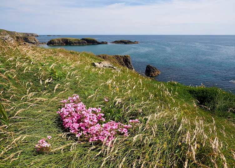 The Copper Coast