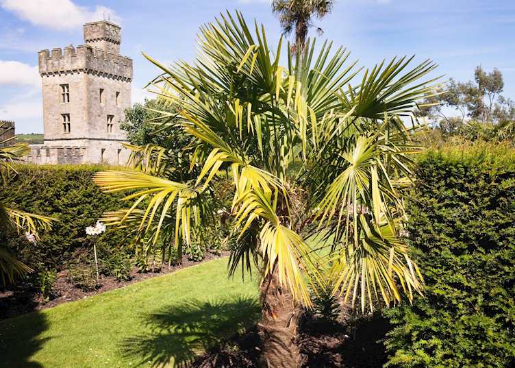 Lismore Castle gardens