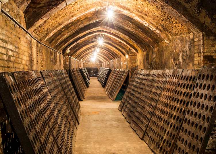 Wine cellar, Penedès