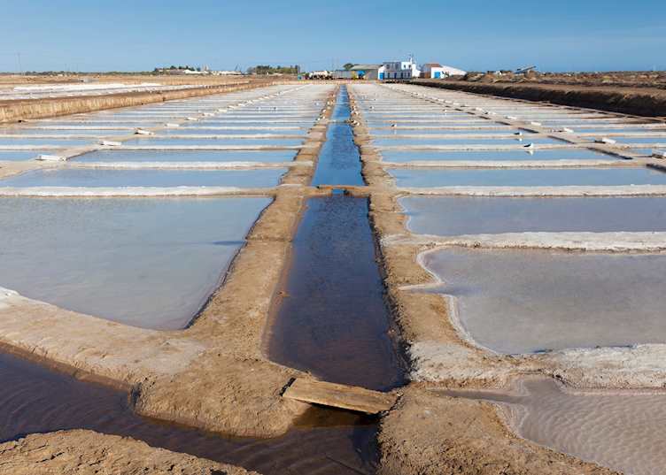 Salt flats, Algarve 