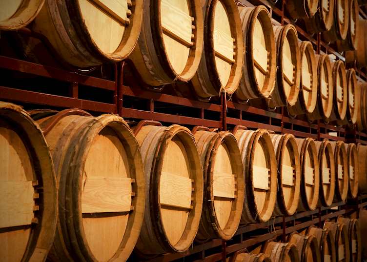 Wine cellar, La Rioja