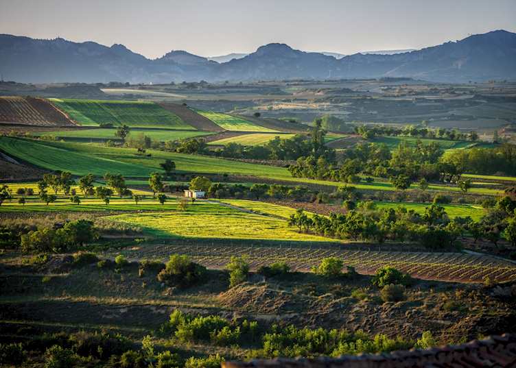 Vineyards, La Rioja