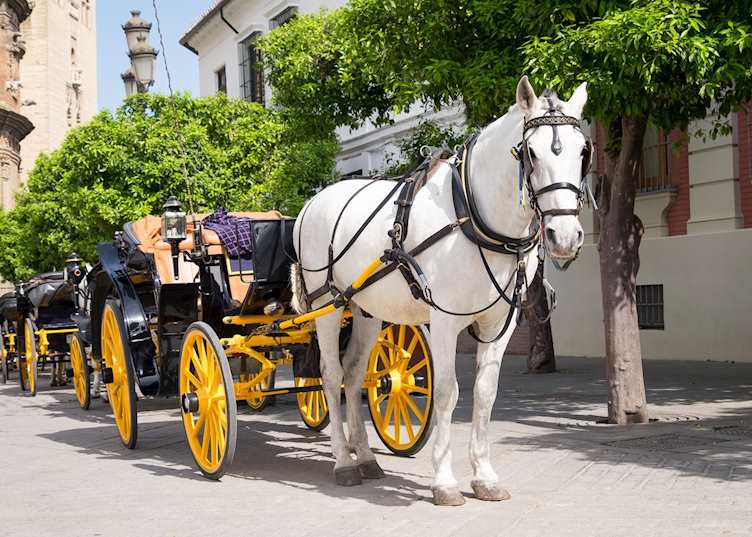 Horse and carriage, Seville
