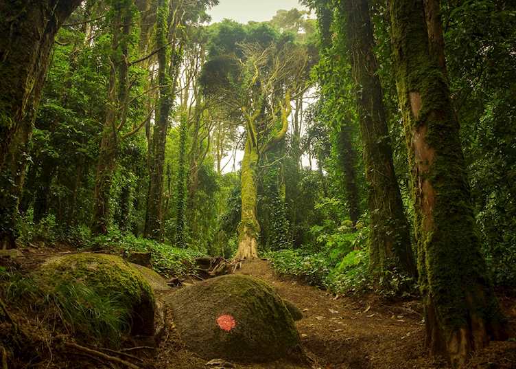 National park, Sintra 