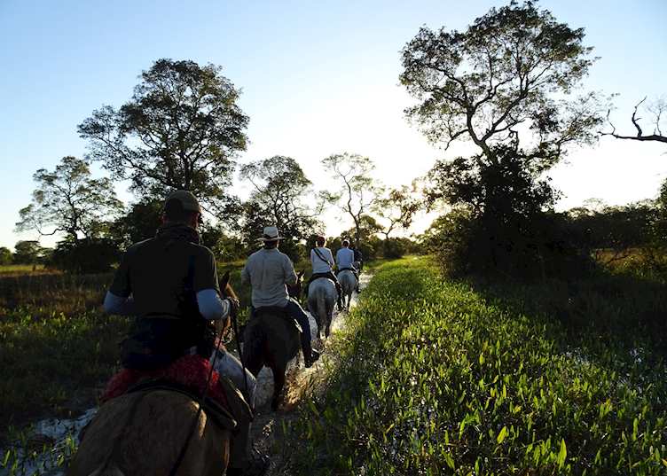 Horse riding through the Pantanal
