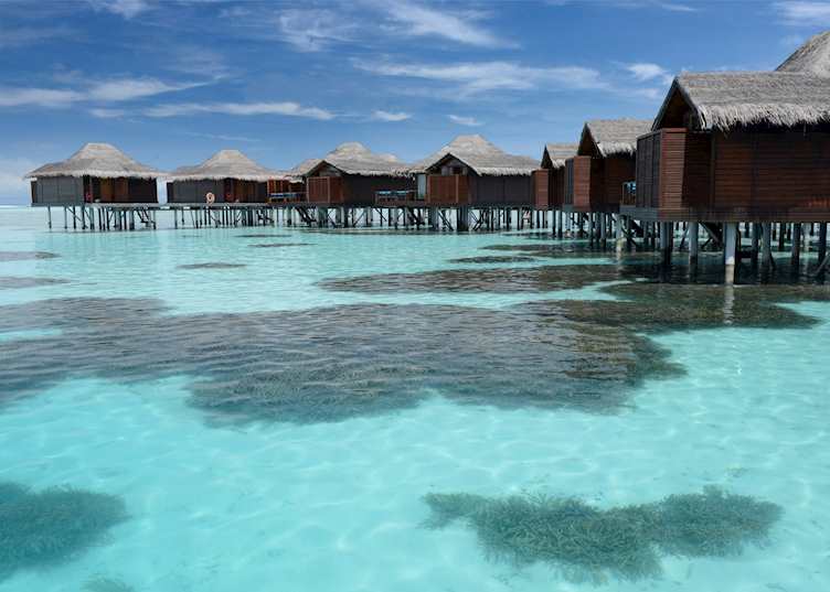 Coral gardens, Anantara Veli Maldives Resort, Maldive Island