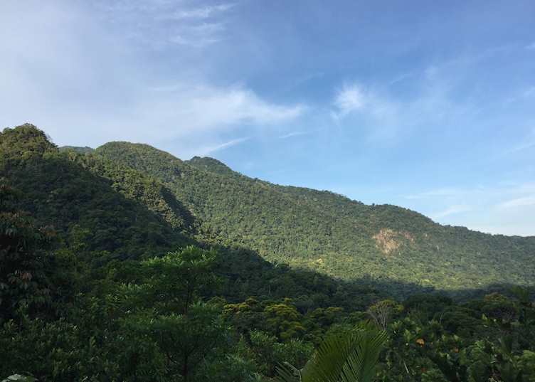 Pico Bonito National Park