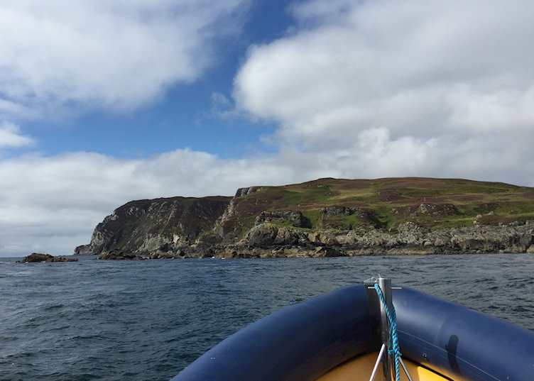 Islay wildlife cruise
