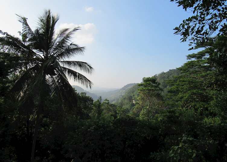 Ellerton, Kandy