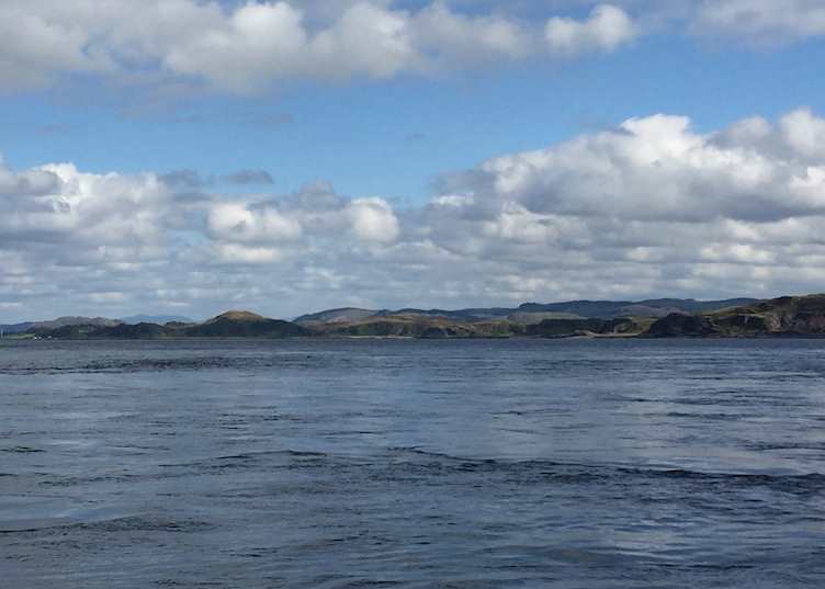 Corryvreckan wildlife boat trip