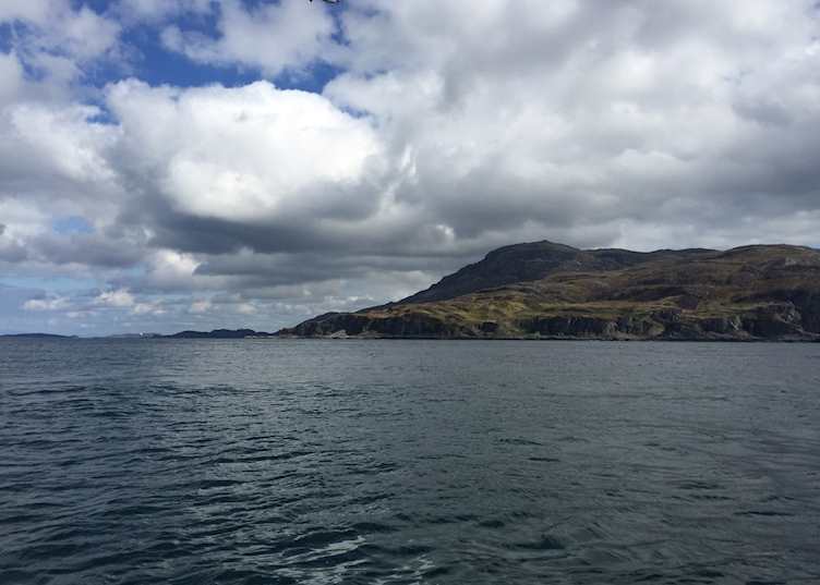 Corryvreckan wildlife boat trip