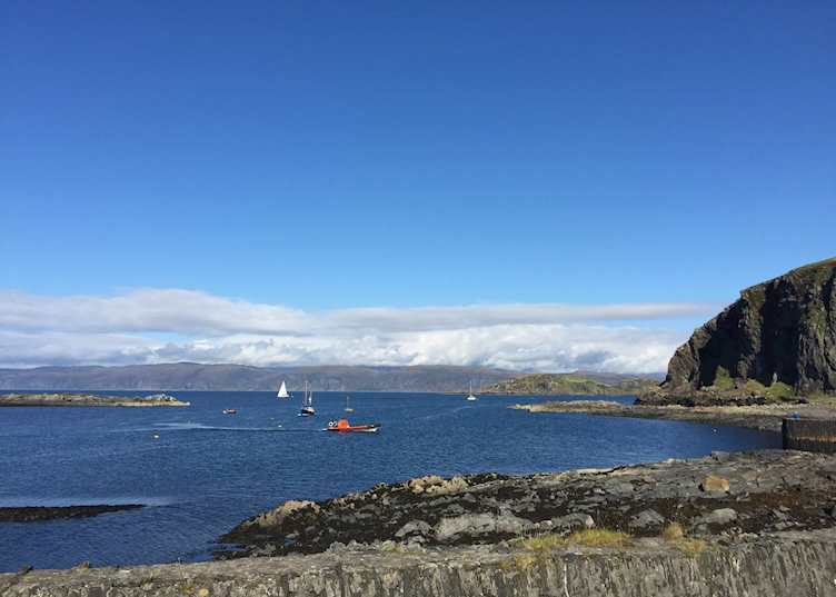 Corryvreckan wildlife boat trip