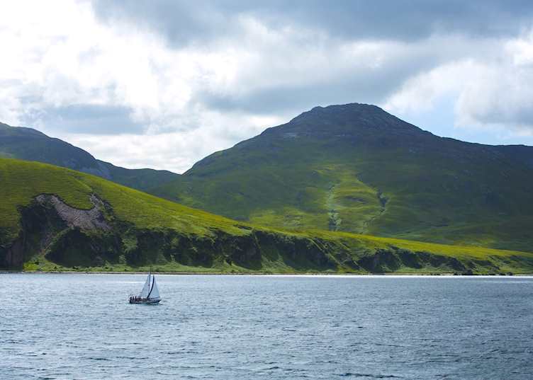 Corryvreckan wildlife boat trip