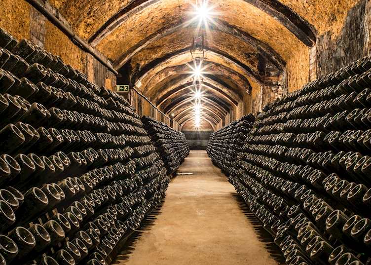 Cava cellars, Penedès wine region