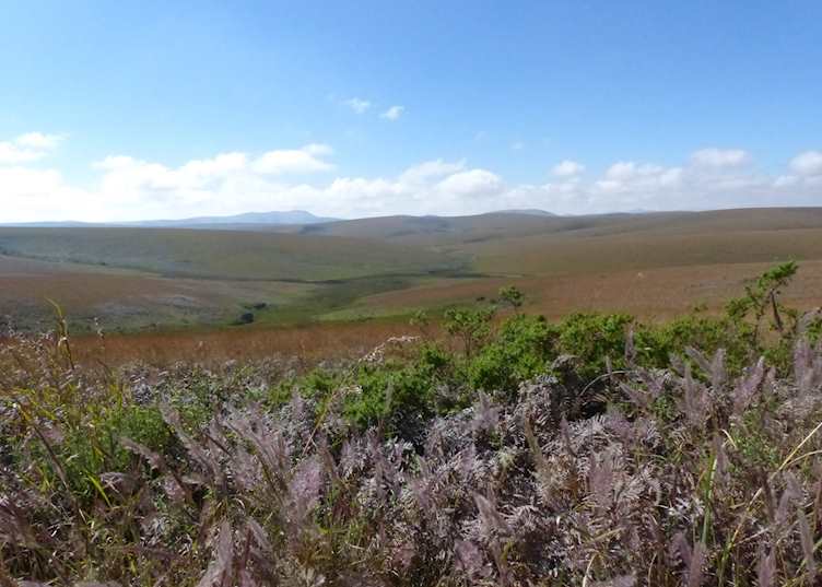 Rolling hills of Nyika Plateau