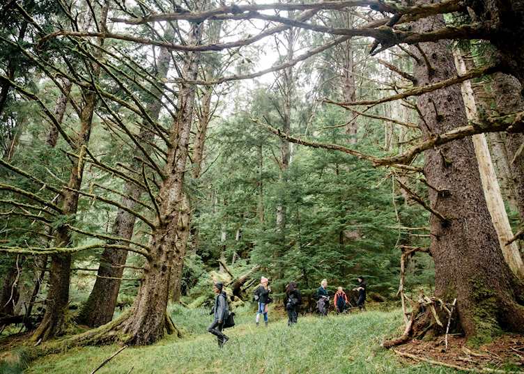 Kaisun Hike - Excursion from Ocean House