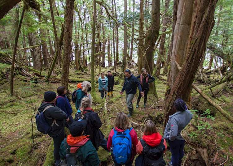  Kaisun Rainforest Walk - Excursion from Ocean House