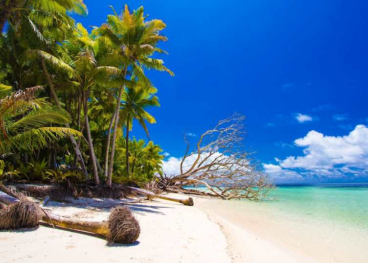 Beach, Alphonse Island Resort, Alphonse Island