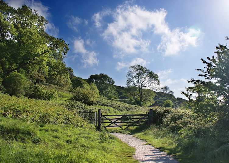 Sussex countryside