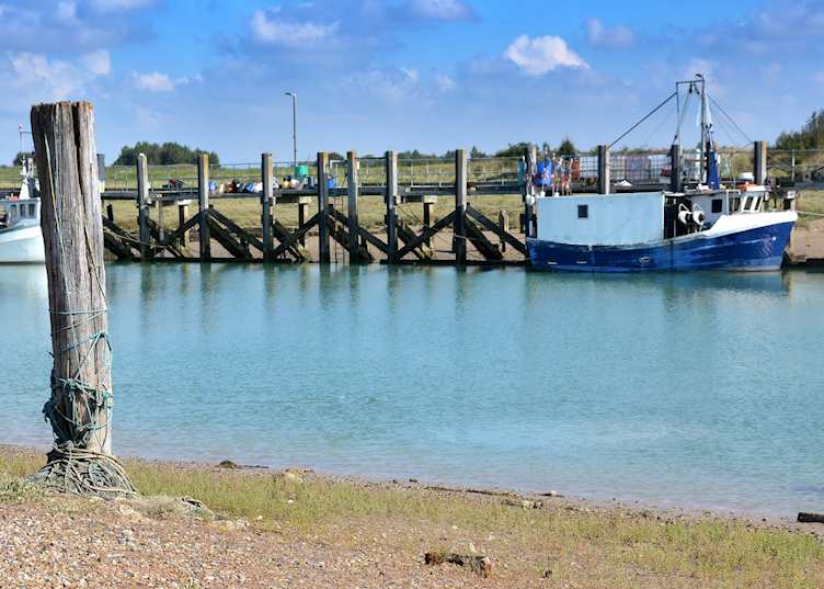 Rye harbour