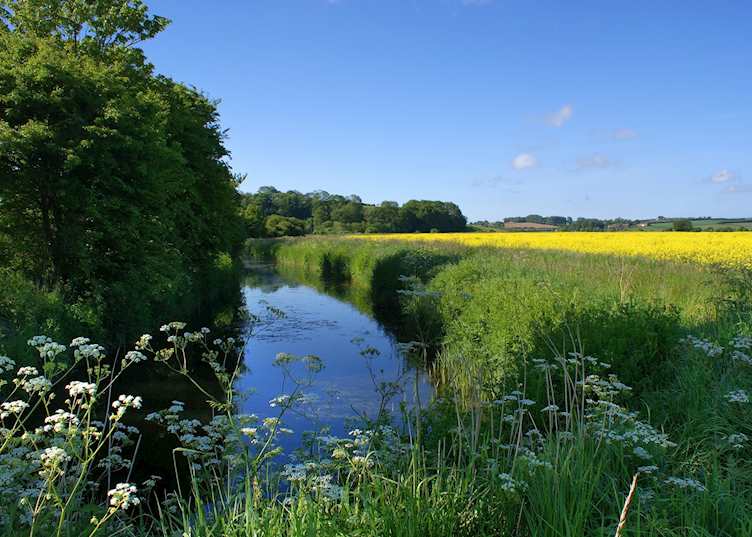 Sussex countryside