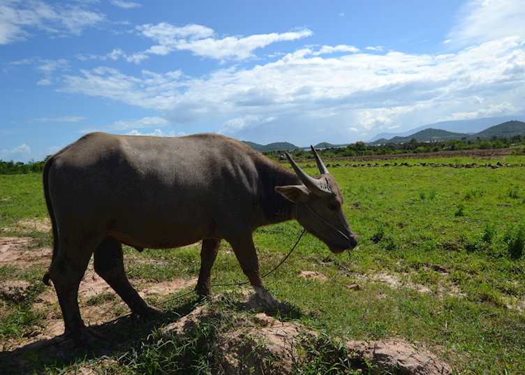 Kampot