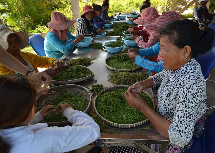La Plantation, Kampot