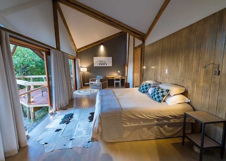 Splash Camp Room