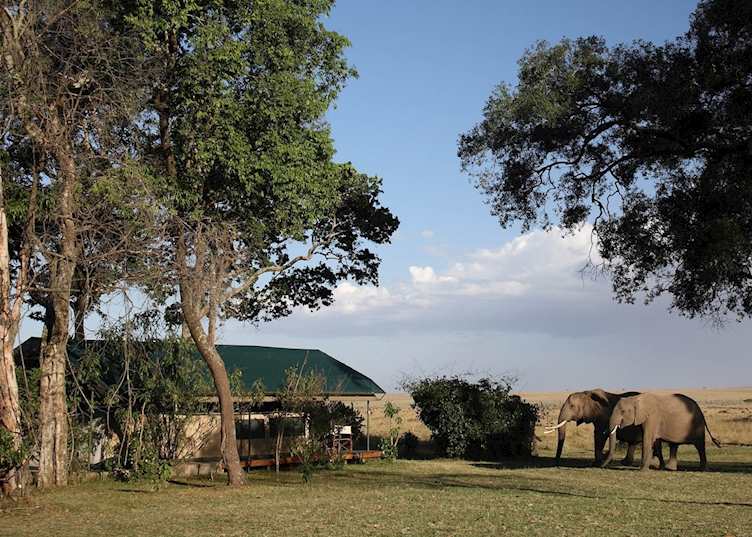 Governors' Main Camp