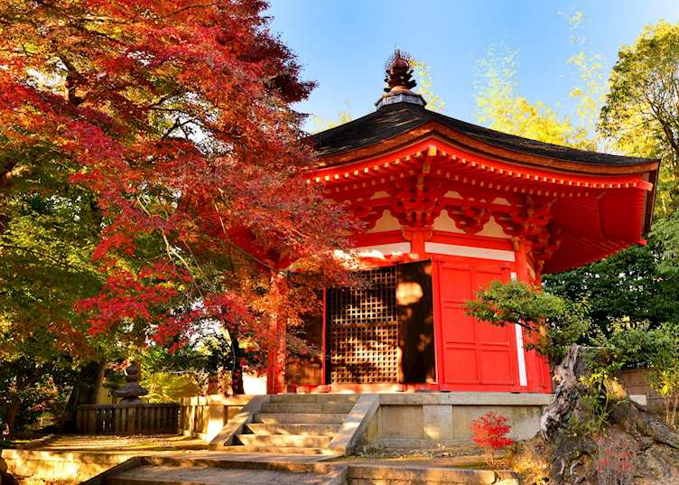 Autumn colours in Kyoto