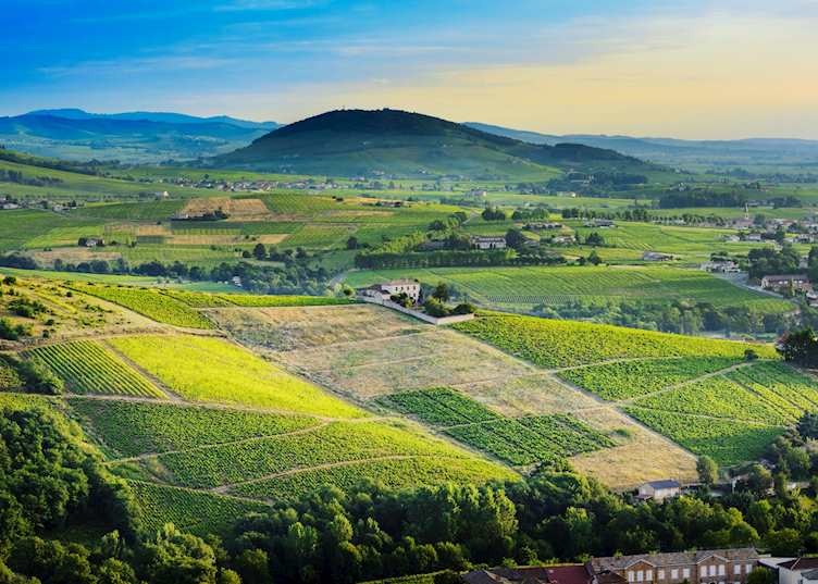 Wine country, Rhône-Alpes