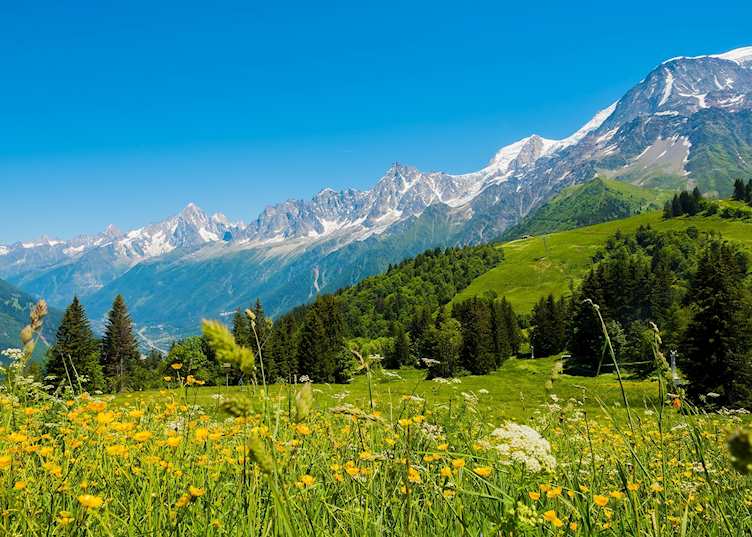 Verdant fields, Chamonix