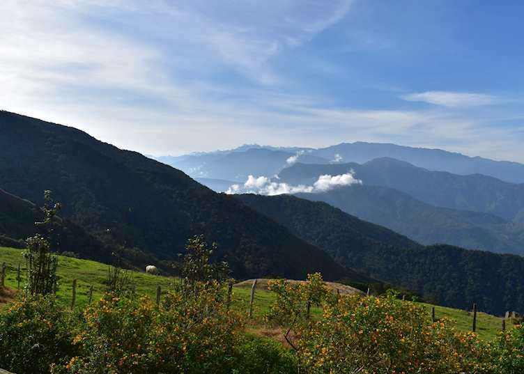 Views of the valley