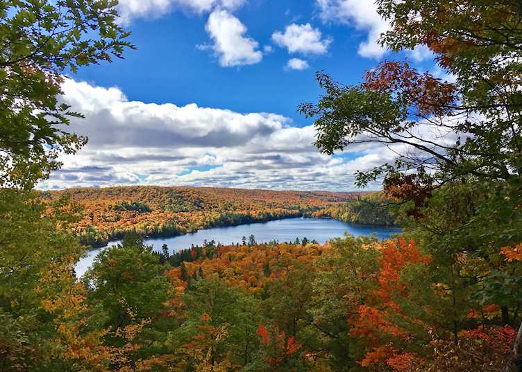 Haliburton Forest, near Algonquin Provincial Park, Ontario