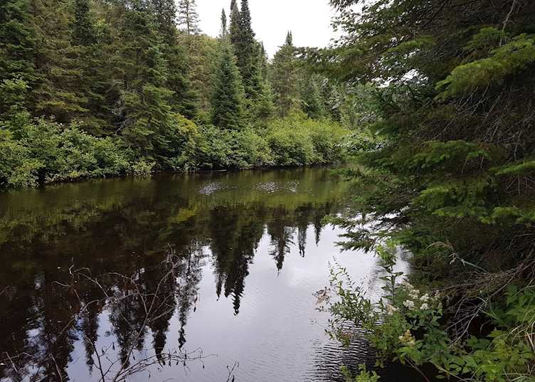 Haliburton Forest, Ontario