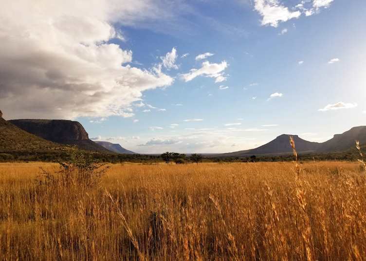 Marataba game drive in the Marakele National Park