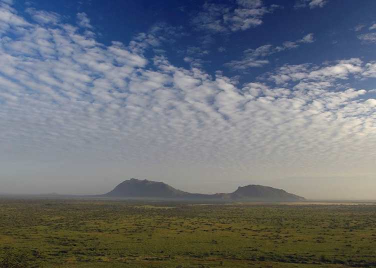 Shaba Reserve, Kenya